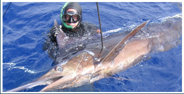 Kona Fish Report – Kona Short-nose Spearfish  Lepika Sportfishing, Kailua  Kona, HI 96740 • 808-960-0068